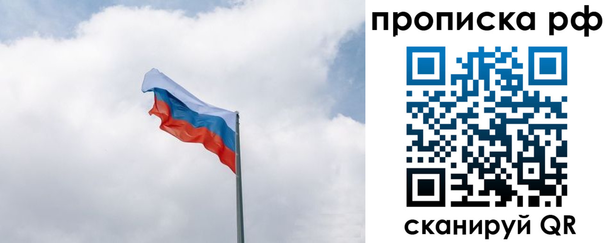 прописка гарантия в Саратове